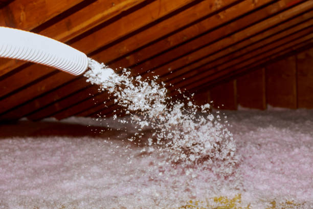 Best Types of Insulation in Carson, WA